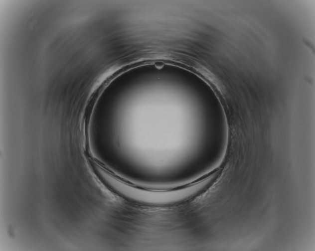 X0000096451127200801311444