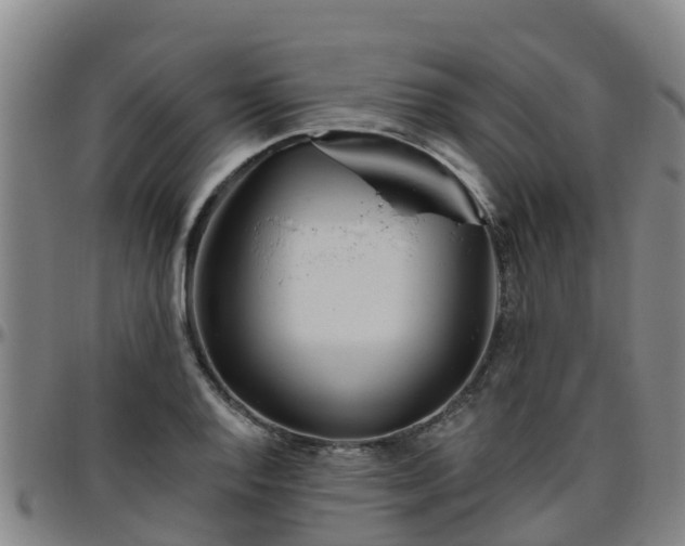 X0000096451128200801311444