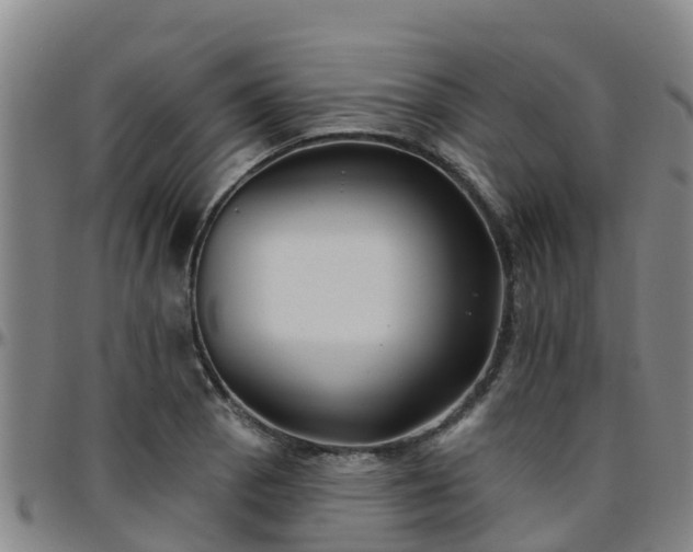 X0000096451129200801311444
