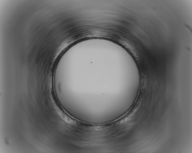 X0000096451130200801311444