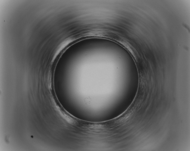 X0000096451131200801311444