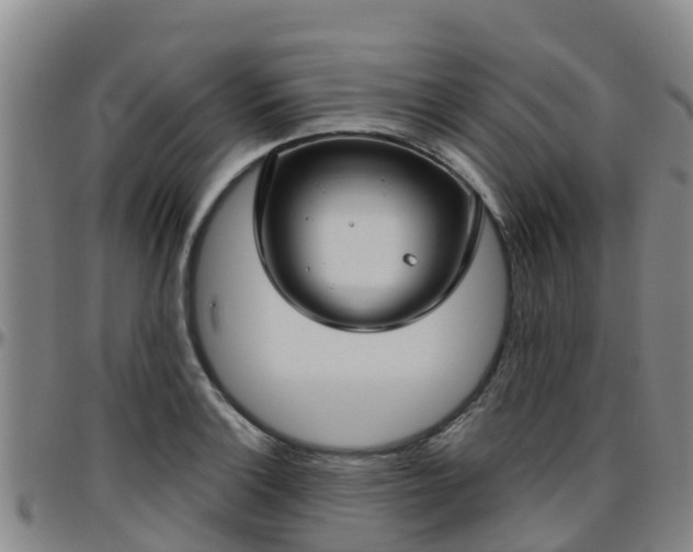 X0000096451132200801311444