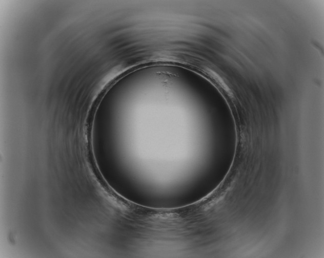 X0000096451133200801311444