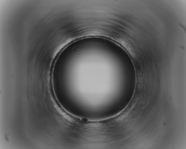 X0000096451134200801311444
