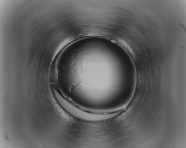 X0000096451138200801311445