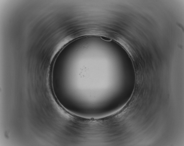 X0000096451139200801311445