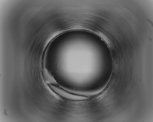 X0000096451142200801311445