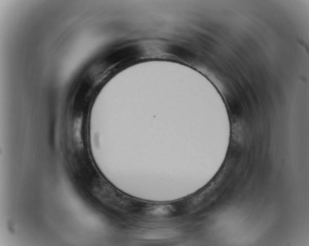 X0000096451150200801311445