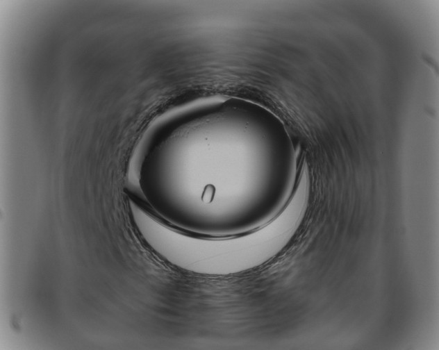 X0000096451153200801311444