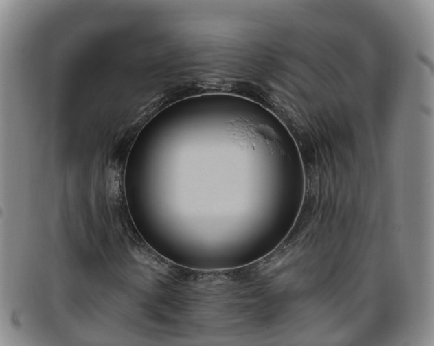 X0000096451154200801311444