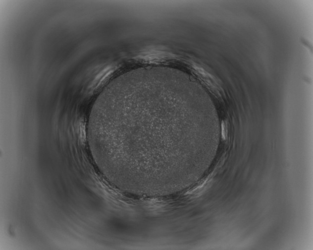 X0000096451155200801311444