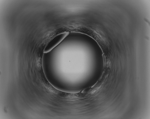 X0000096451156200801311444