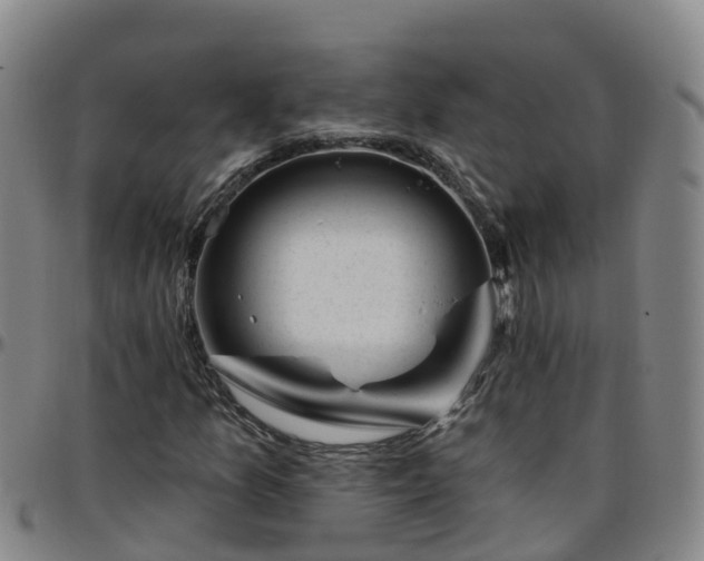 X0000096451157200801311444