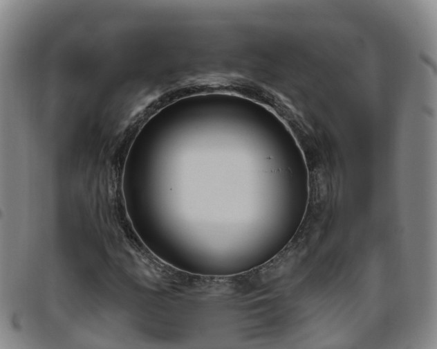 X0000096451158200801311444