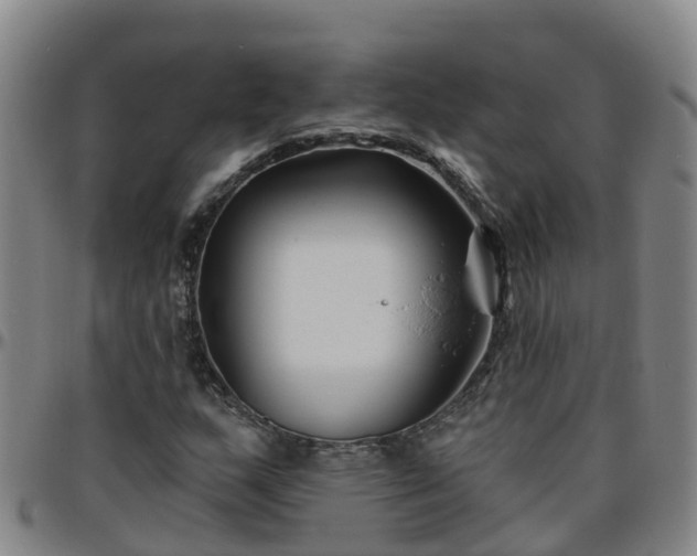 X0000096451159200801311444