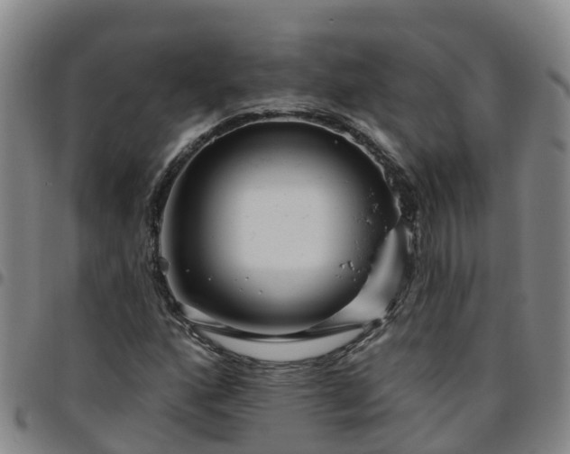 X0000096451160200801311444