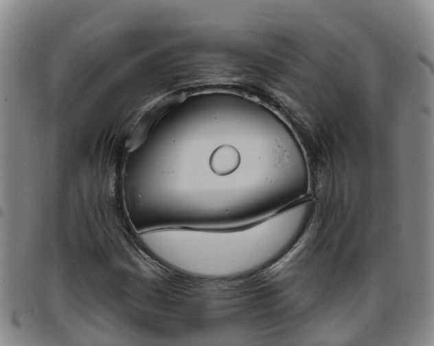 X0000096451161200801311444