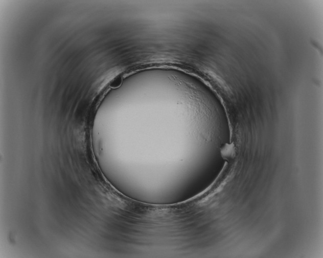 X0000096451162200801311444