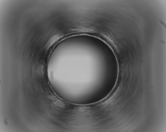 X0000096451163200801311444