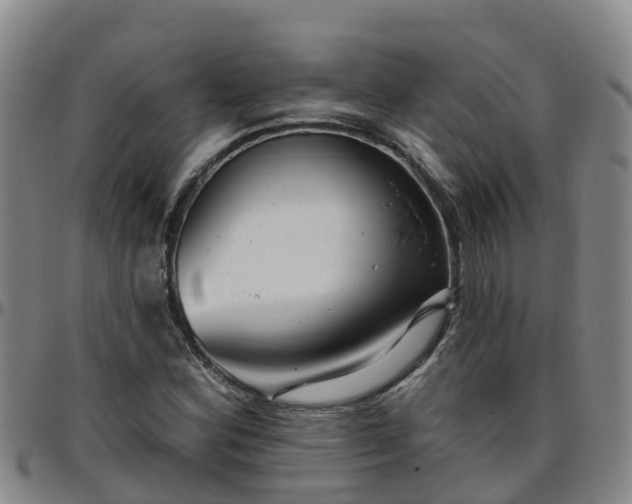 X0000096451164200801311444