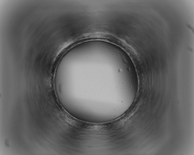 X0000096451166200801311444