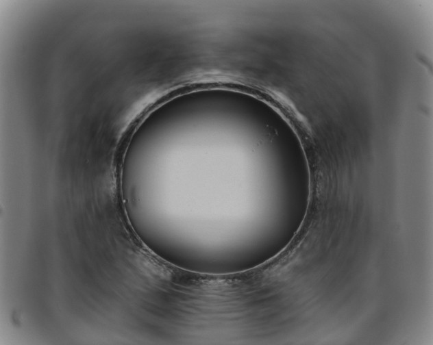 X0000096451167200801311444