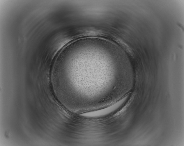 X0000096451170200801311444