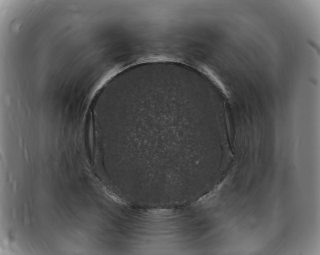 X0000096451173200801311444