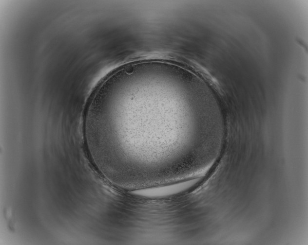 X0000096451174200801311444