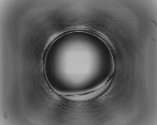 X0000096451176200801311444