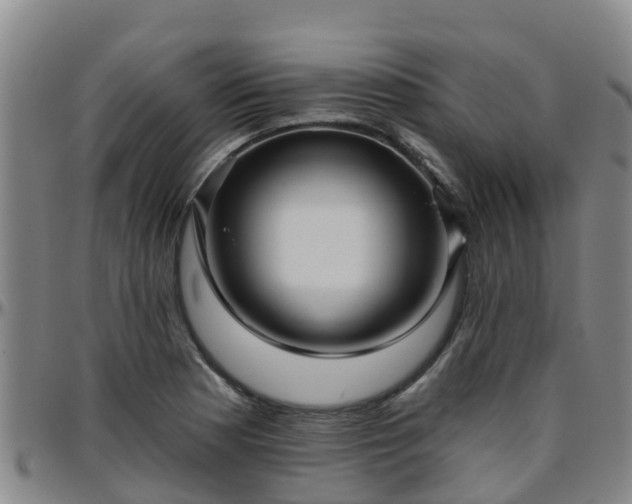 X0000096451177200801311444