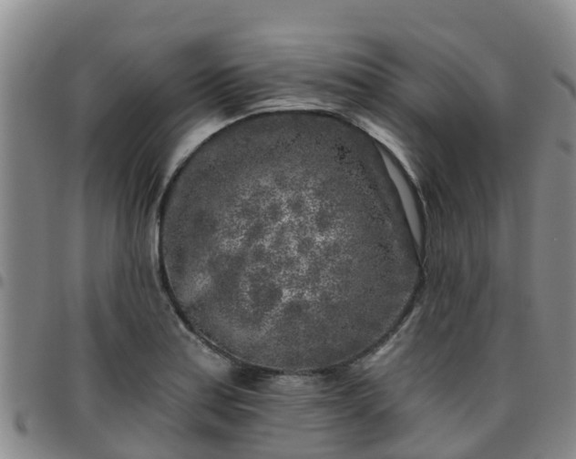 X0000096451179200801311444