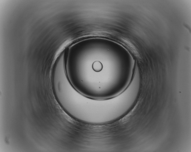 X0000096451180200801311444
