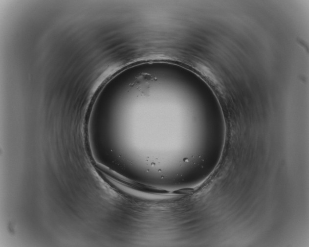 X0000096451181200801311444