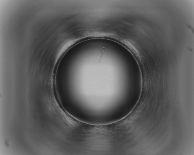 X0000096451183200801311444