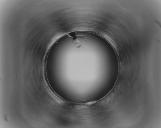 X0000096451187200801311444