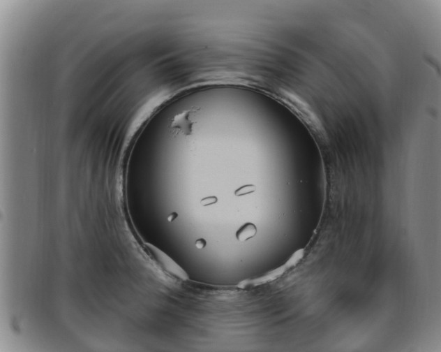 X0000096451188200801311444