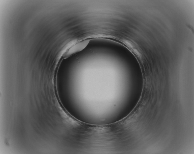 X0000096451189200801311444