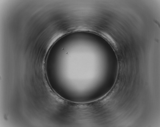 X0000096451190200801311444