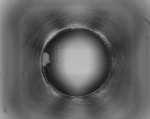 X0000096451191200801311444