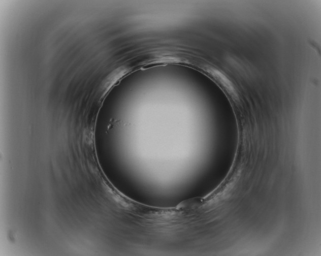 X0000096451193200801311444