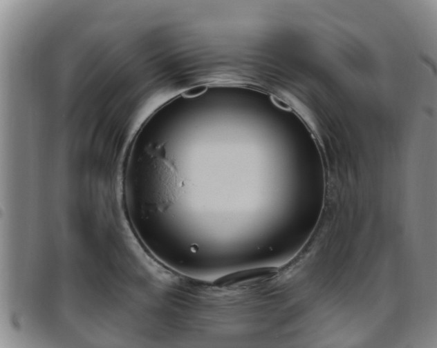 X0000096451195200801311444