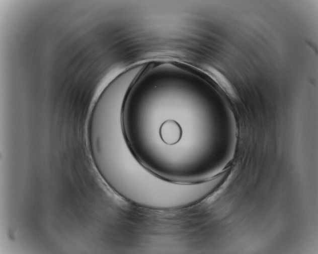 X0000096451196200801311443