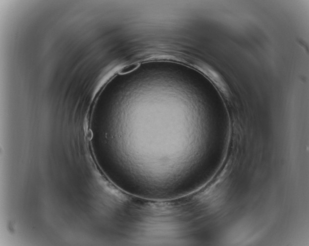 X0000096451198200801311443