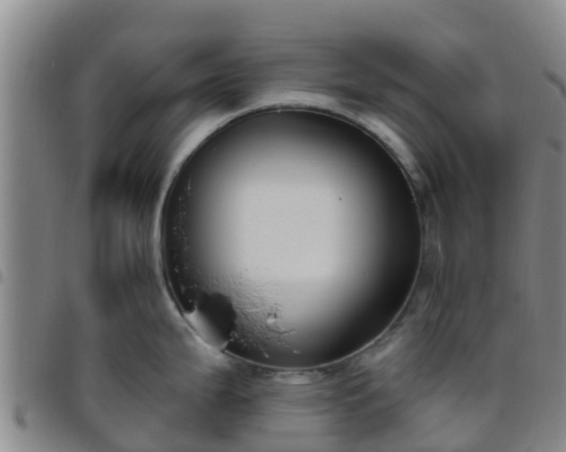 X0000096451199200801311443