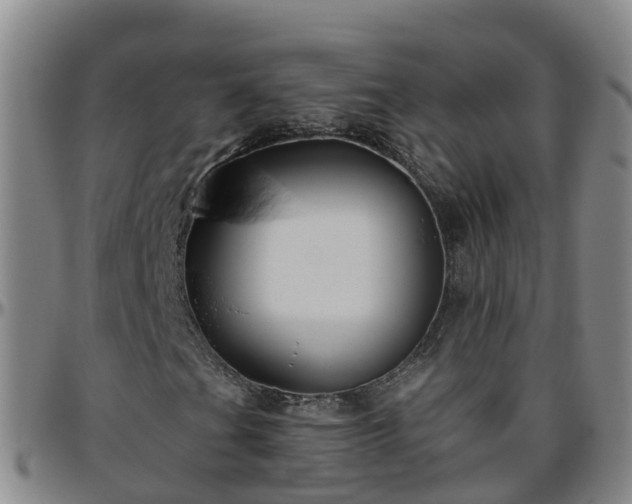 X0000096451201200801311443