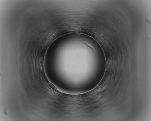 X0000096451202200801311443