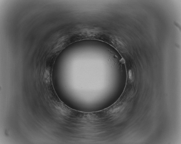 X0000096451203200801311443