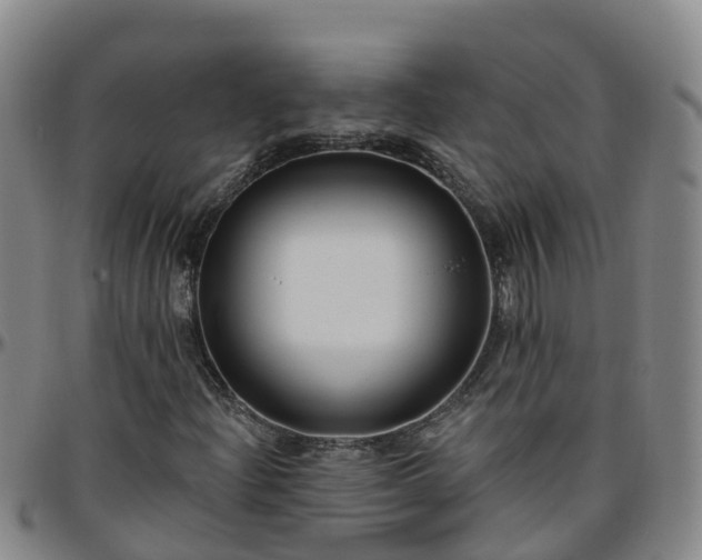 X0000096451204200801311443