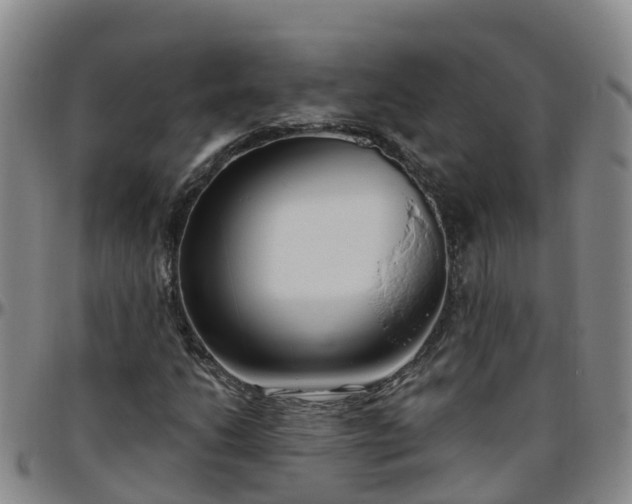 X0000096451206200801311443